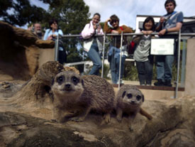 London Zoo with Theatre Breaks