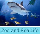 Zoo and Sea Life Centre