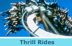 Thrill Rides