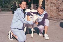 Camelot Farm