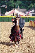 Camelot Jousting