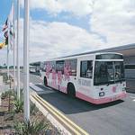 Pink Elephant bus