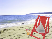 T bag on the beach