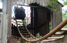 The Rattlesnake