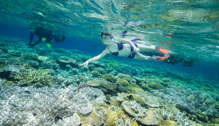 Great Barrier Reef