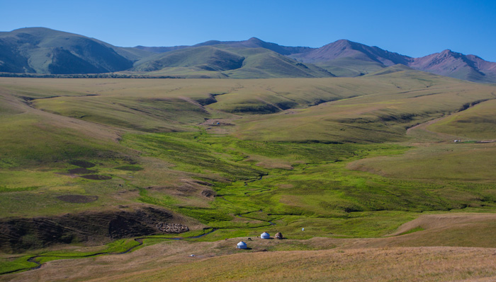 Mongolian landscape