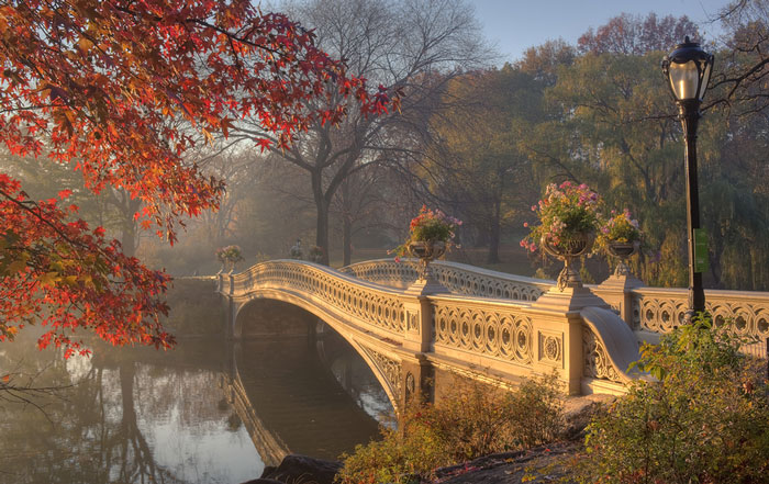 Central park, New York