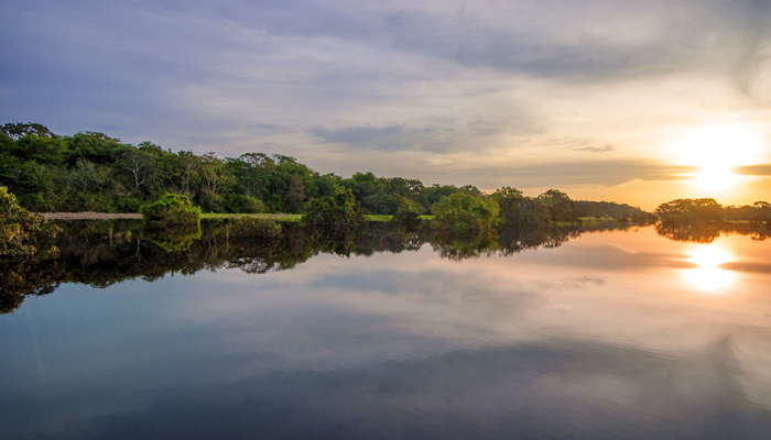 Amazon River at sunset.