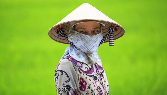 Vietnam Farmer