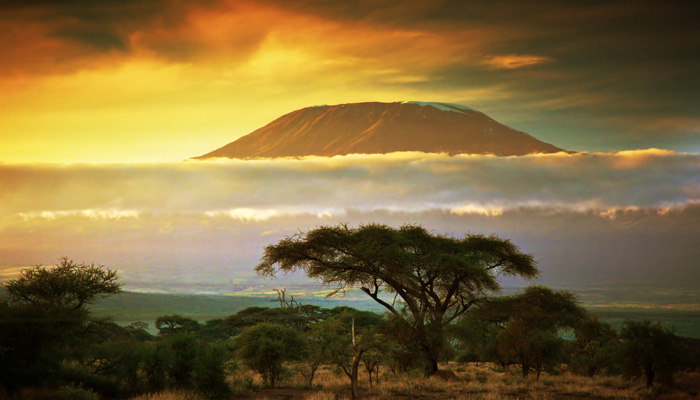 Kiliminjaro