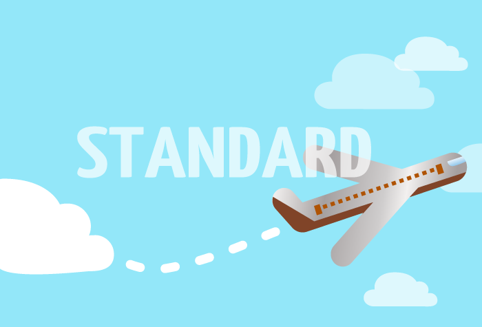 Standard Cover Travel Insurance