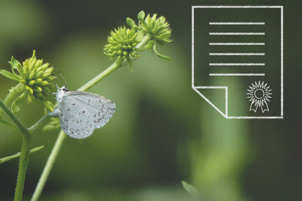 Milieukeurmerken in de reisbranche