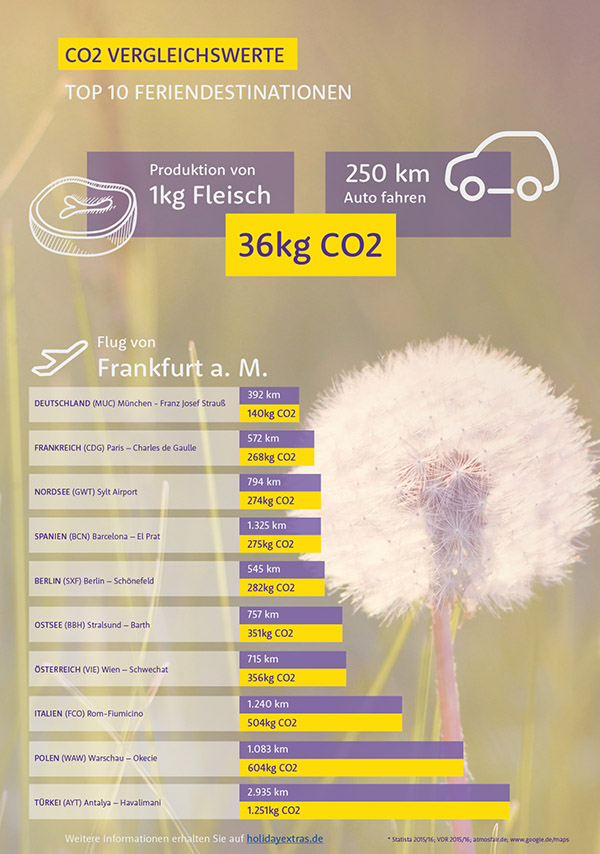 Infografik nachhaltig Reisen