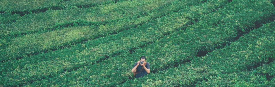 Di quali certificazioni fidarsi?