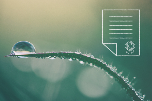 certificazioni ecologiche in ambito viaggi