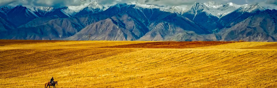 Spostarsi a cavallo per vivere a pieno la natura