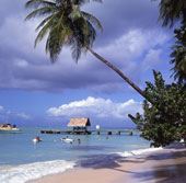 Holidays in Tobago